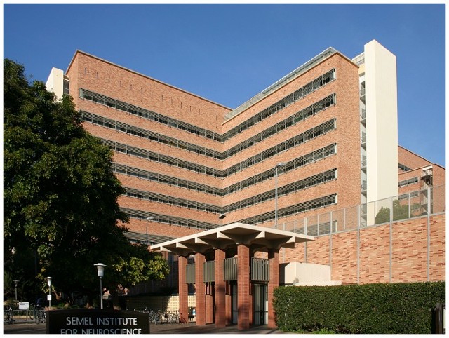UCLA UCLA