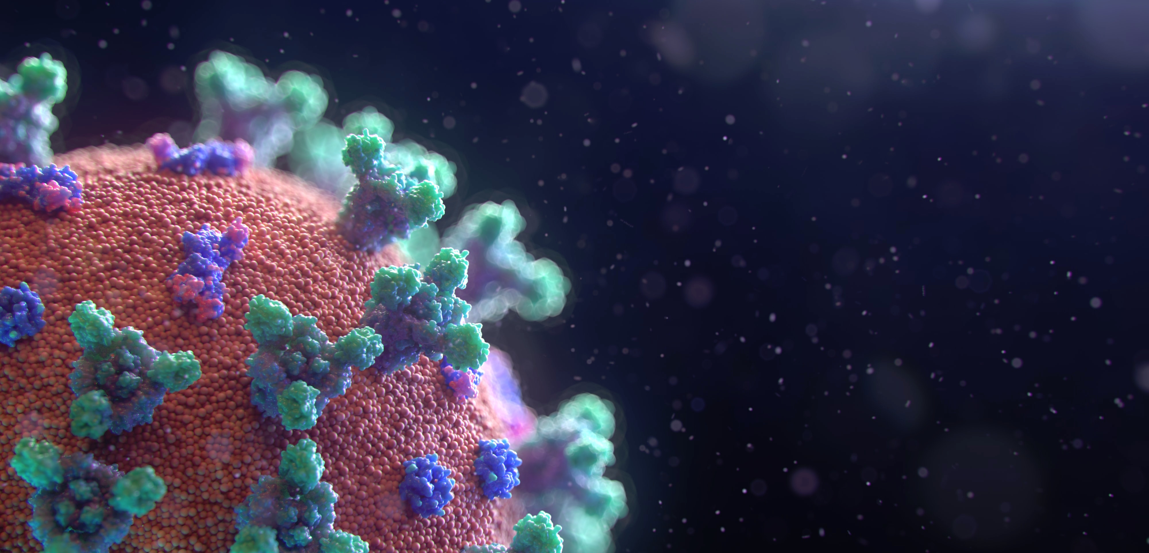 coronavirus coronavirus