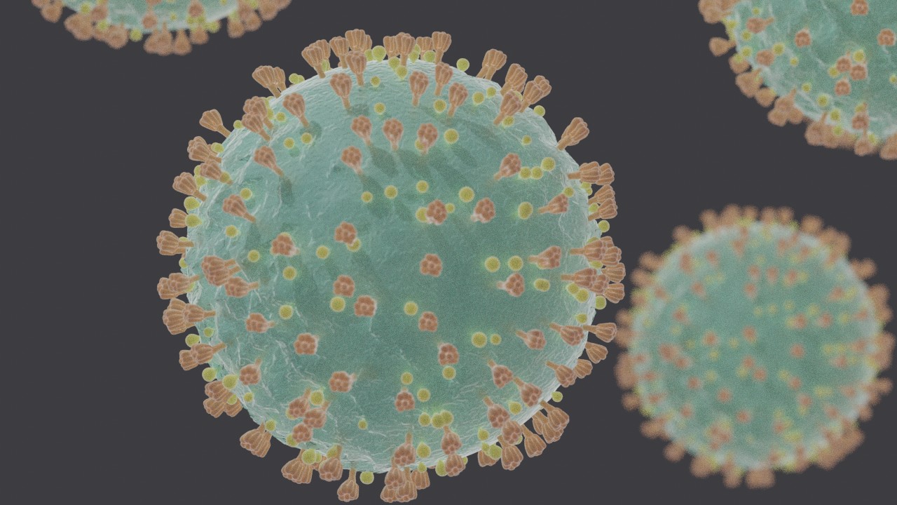 coronavirus coronavirus